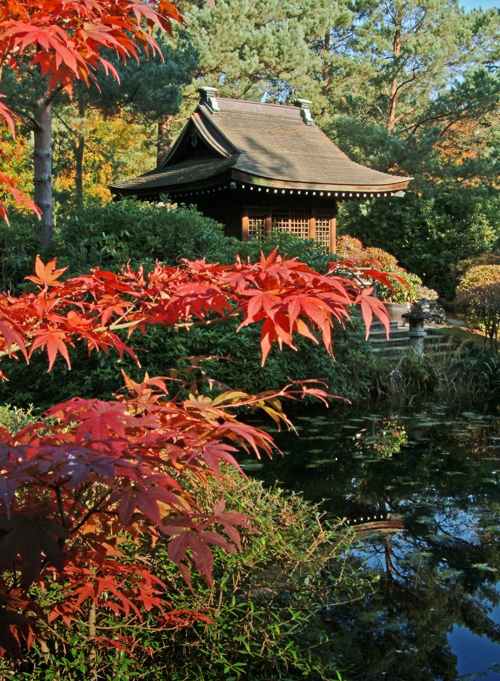 Tatton Park in autumn