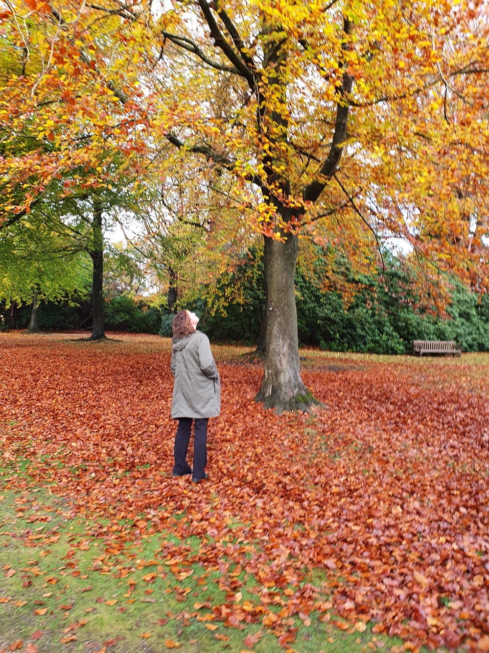 Tatton Park