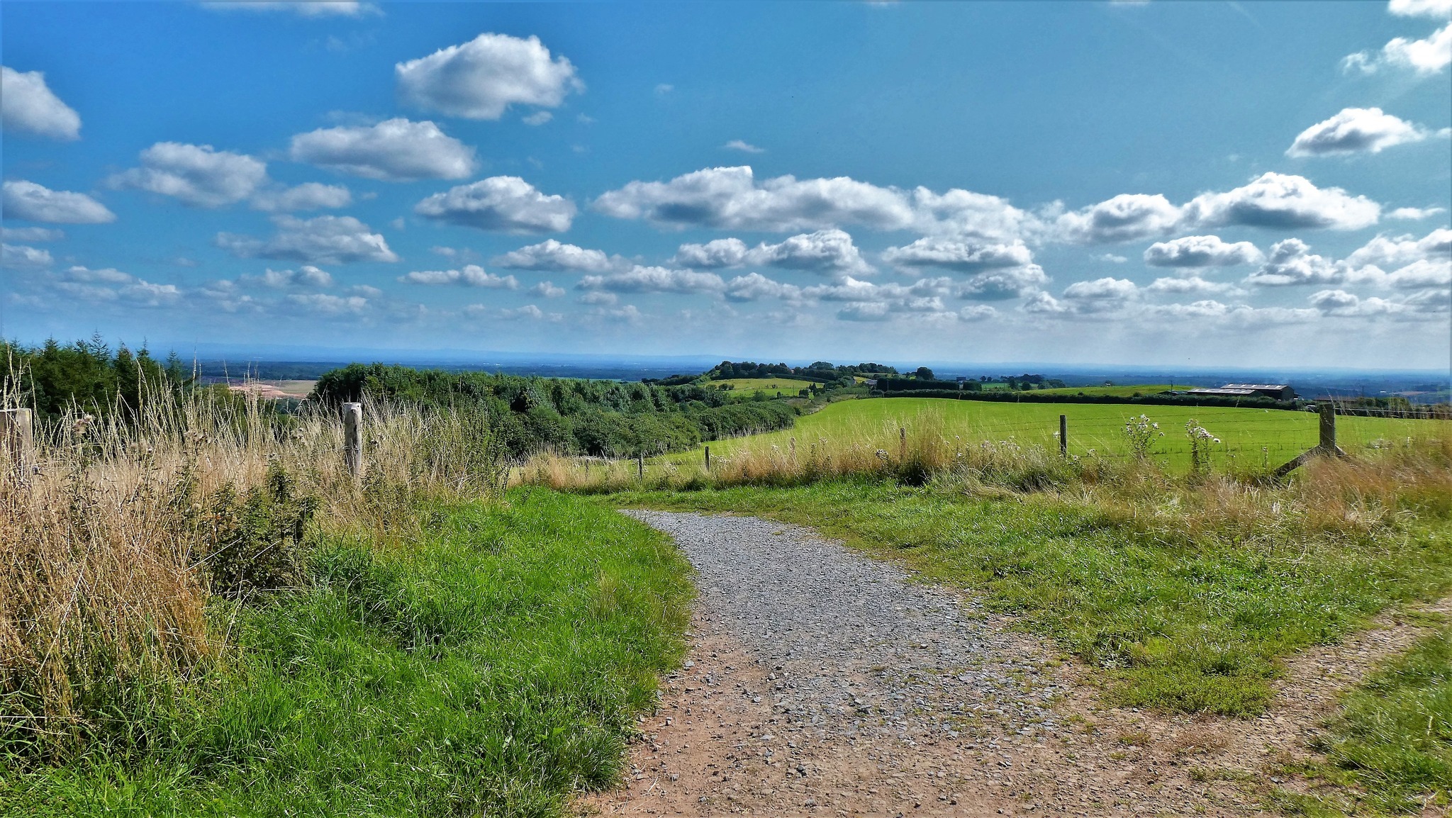 Cotton wool skies, Delamere by Lynne Bentley