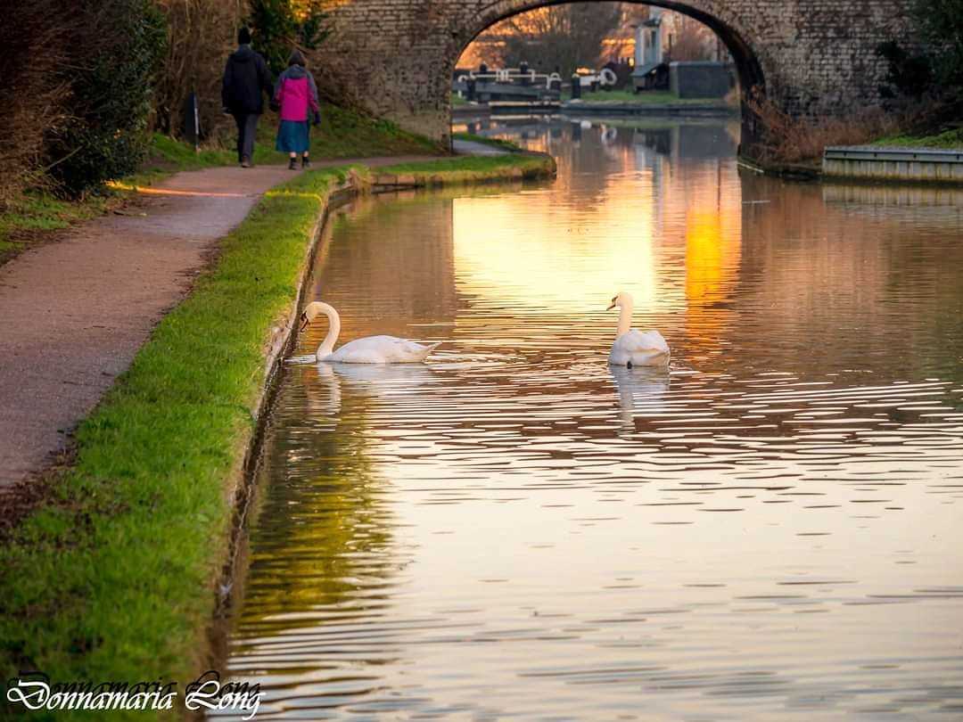 Middlewich canal by Donna Maria Long