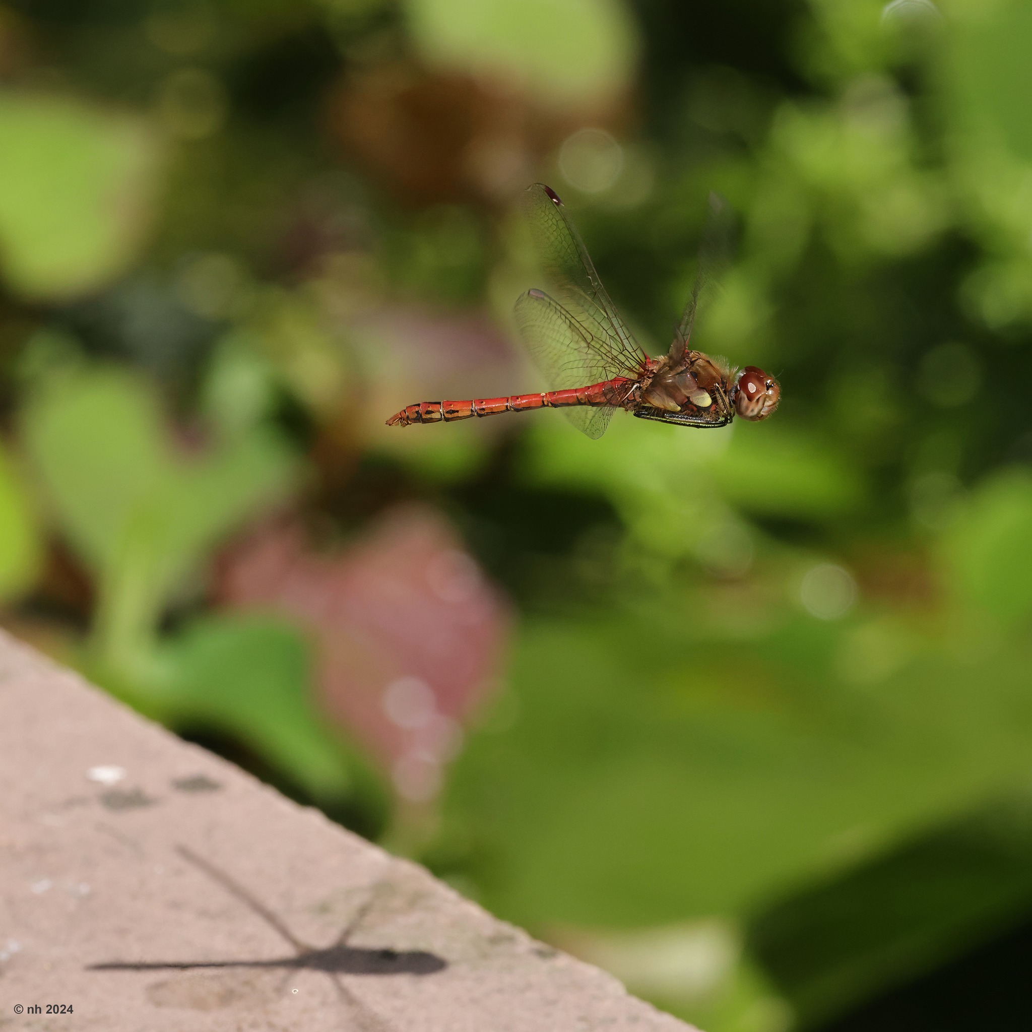 Taking off by Nigel Holbrook