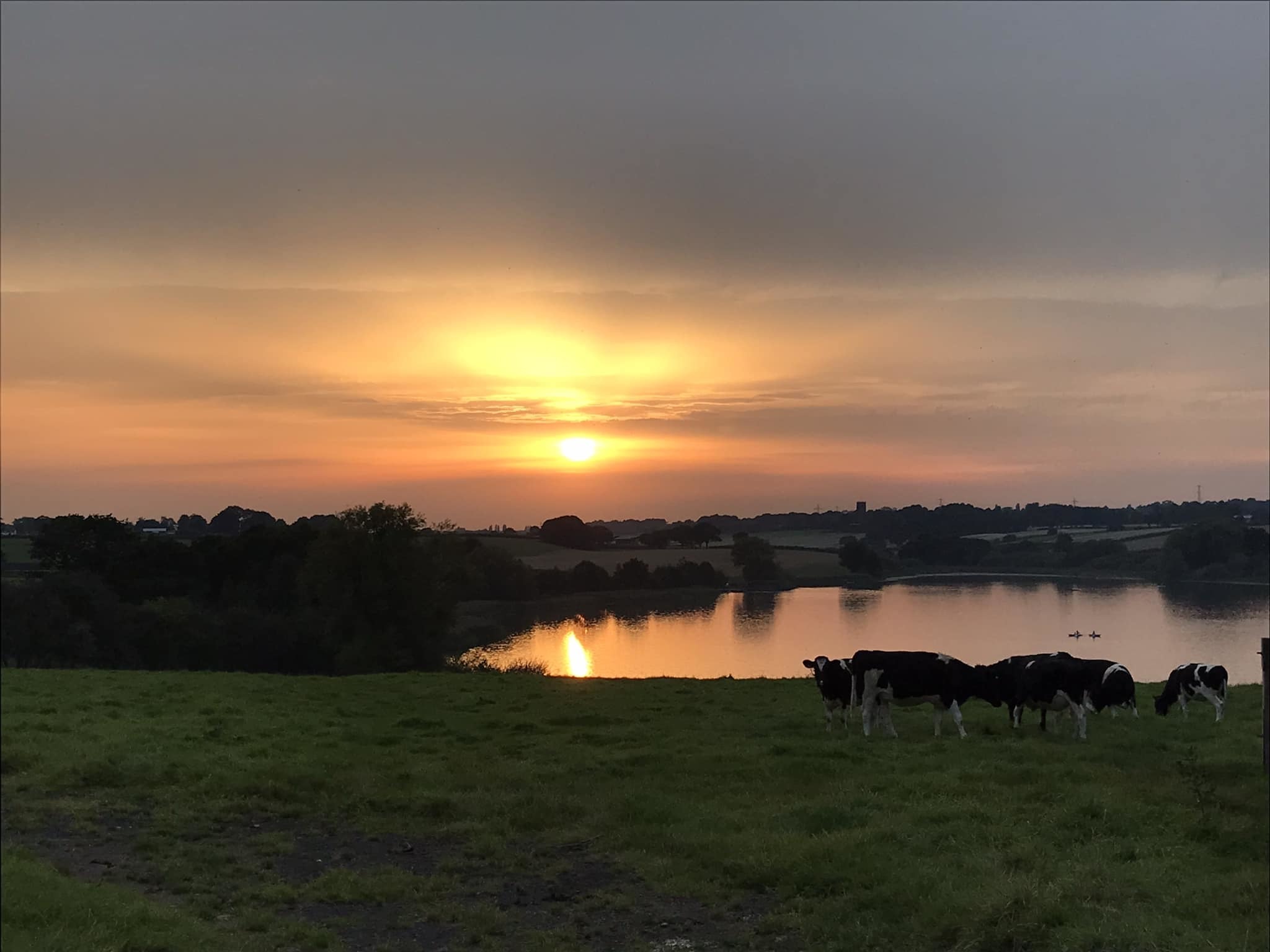 Pickmere Lake by Susie Schmidt