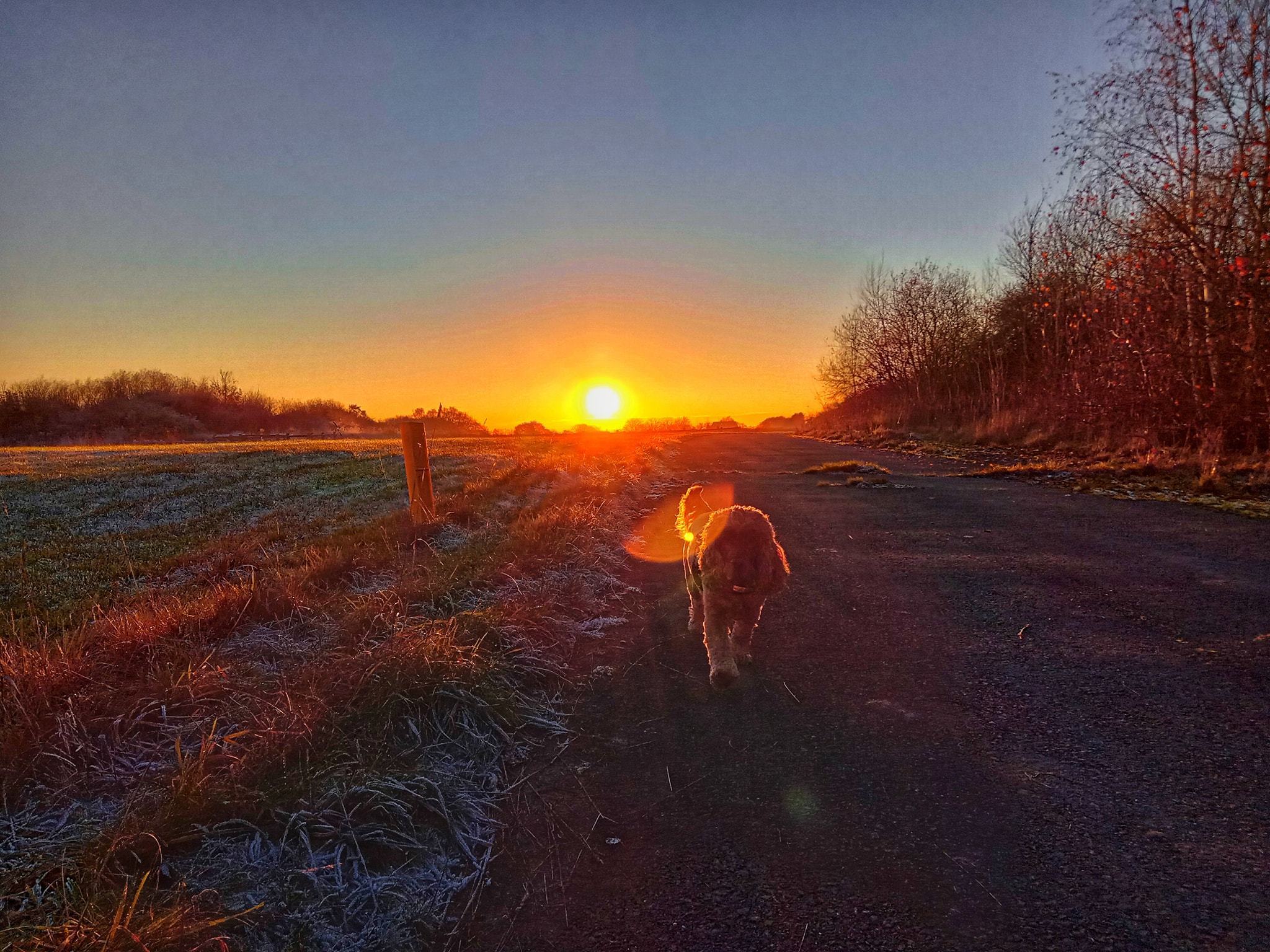 The end of the runway, Mobberley by Sophie Ralph