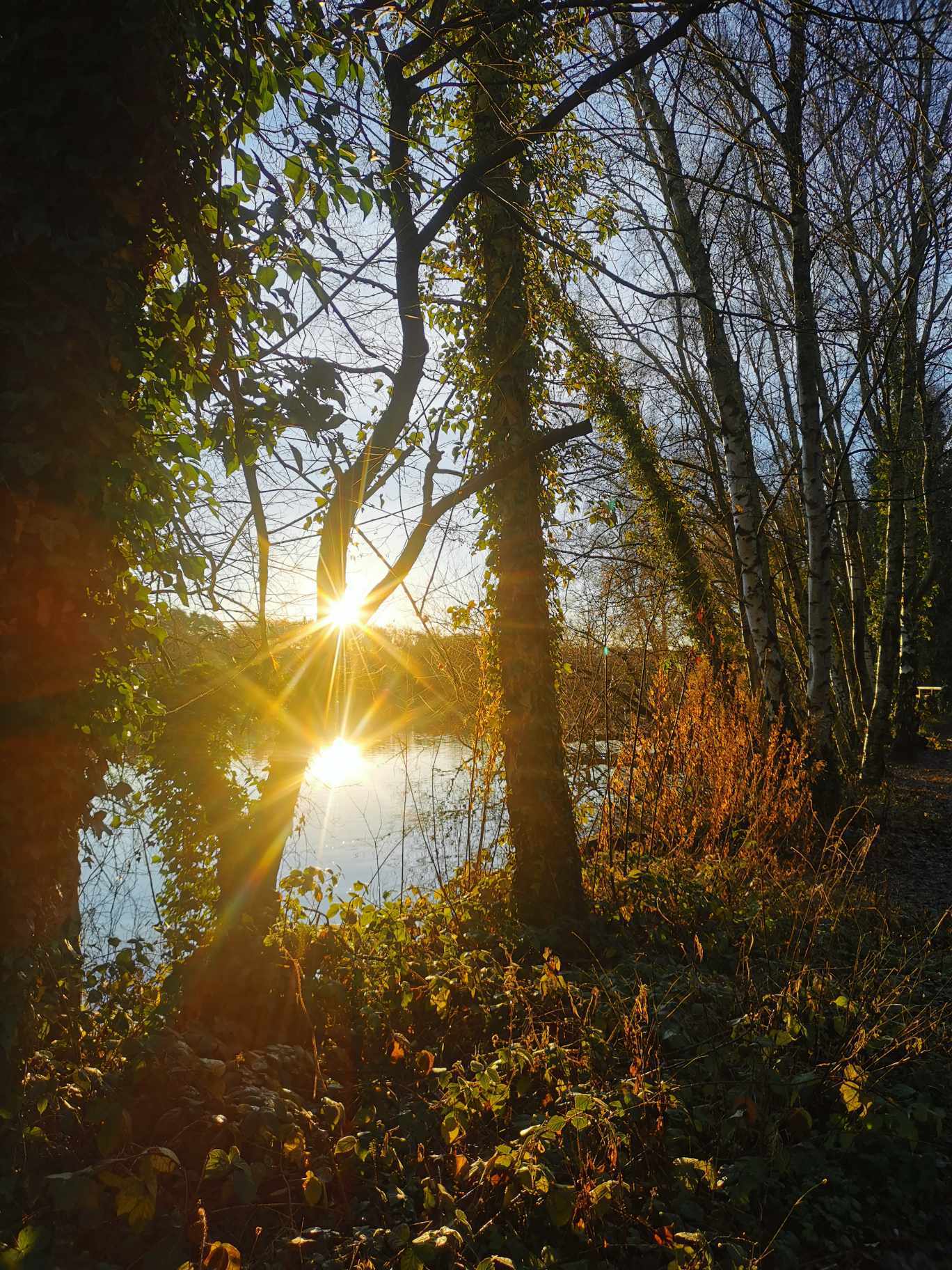 As the sun goes down at Shakerley Mere