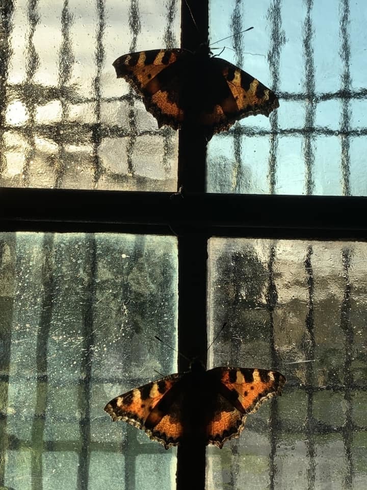 Inside Whitegate St Marys Church by Julie Webb