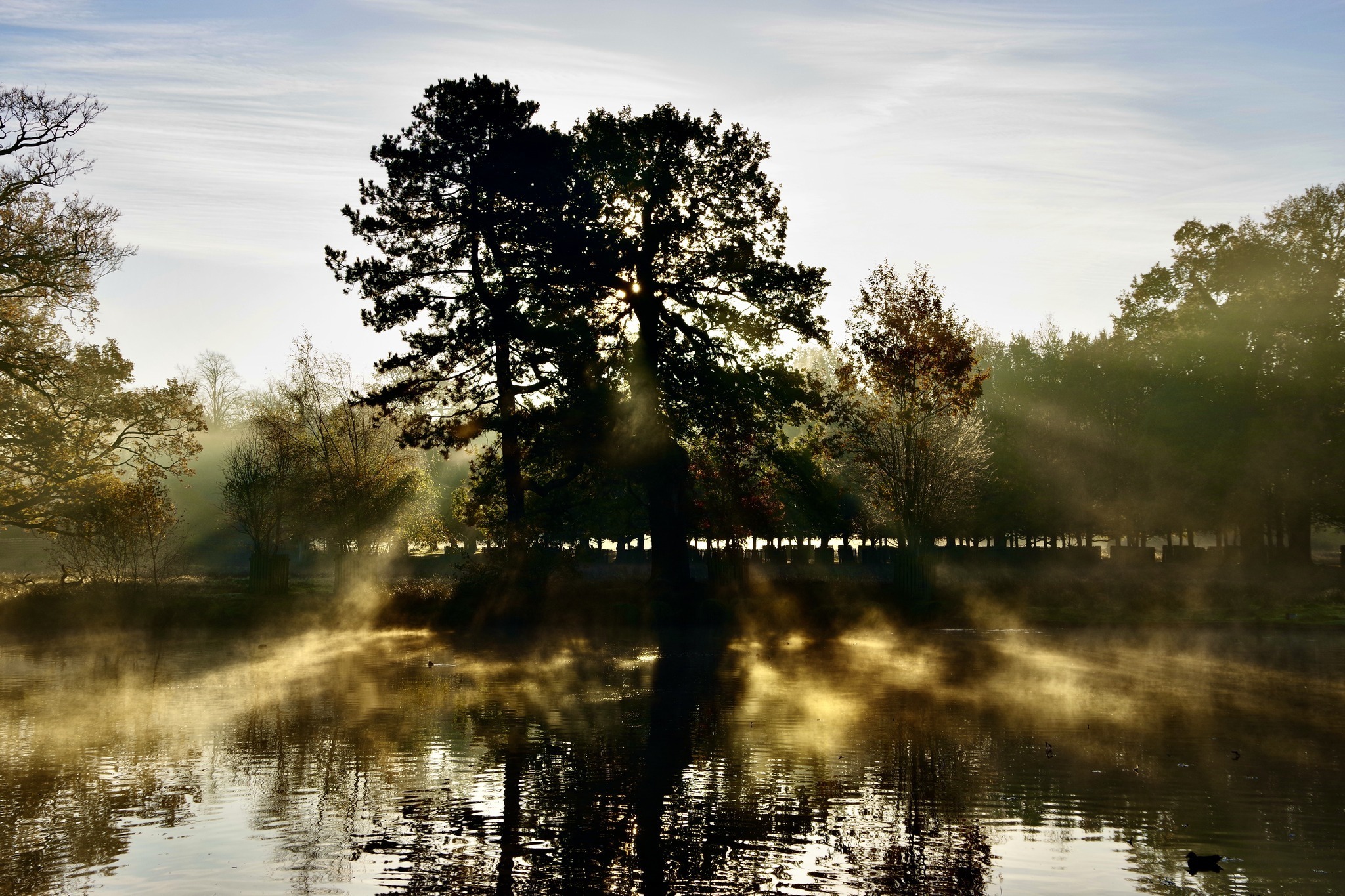 Early morning shadows at Dunham Massey by Terry Gregory