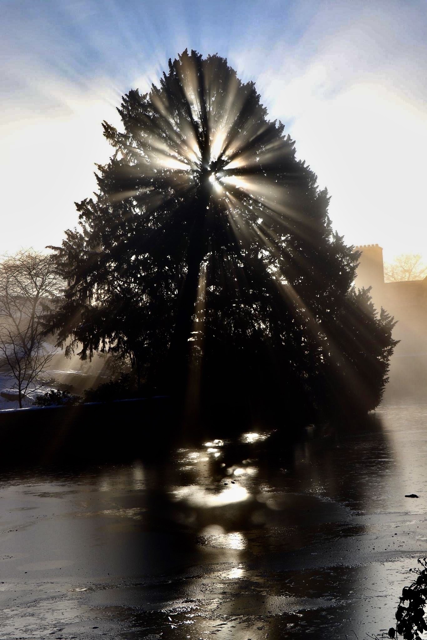 Early morning shadows by Terry Gregory